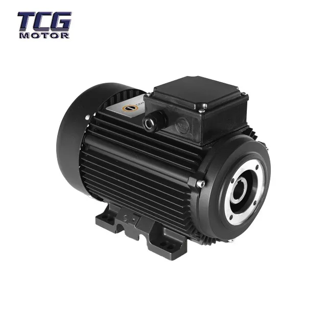 pump ac motor